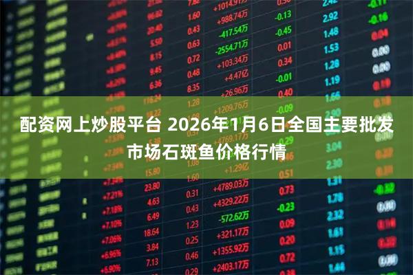 配资网上炒股平台 2026年1月6日全国主要批发市场石斑鱼价格行情
